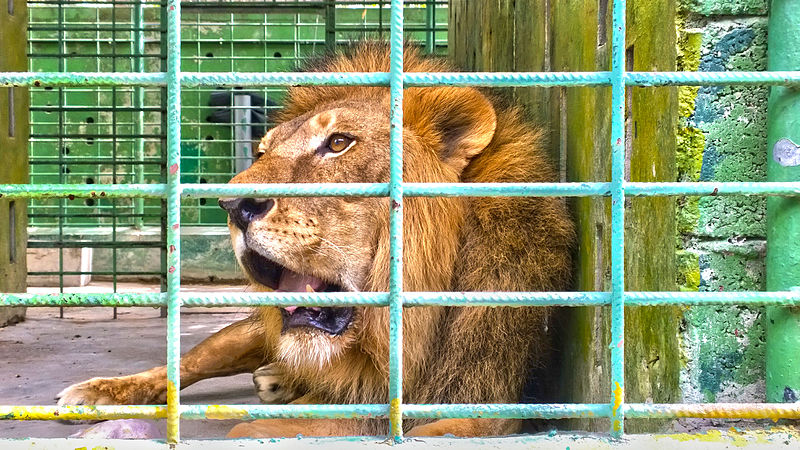 Dubai Zoo
