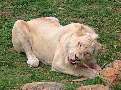 kabul zoo
