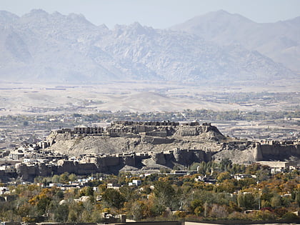 citadel of ghazni