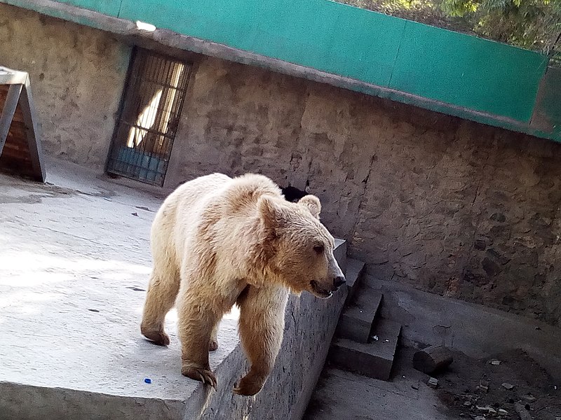 Kabuler Zoo