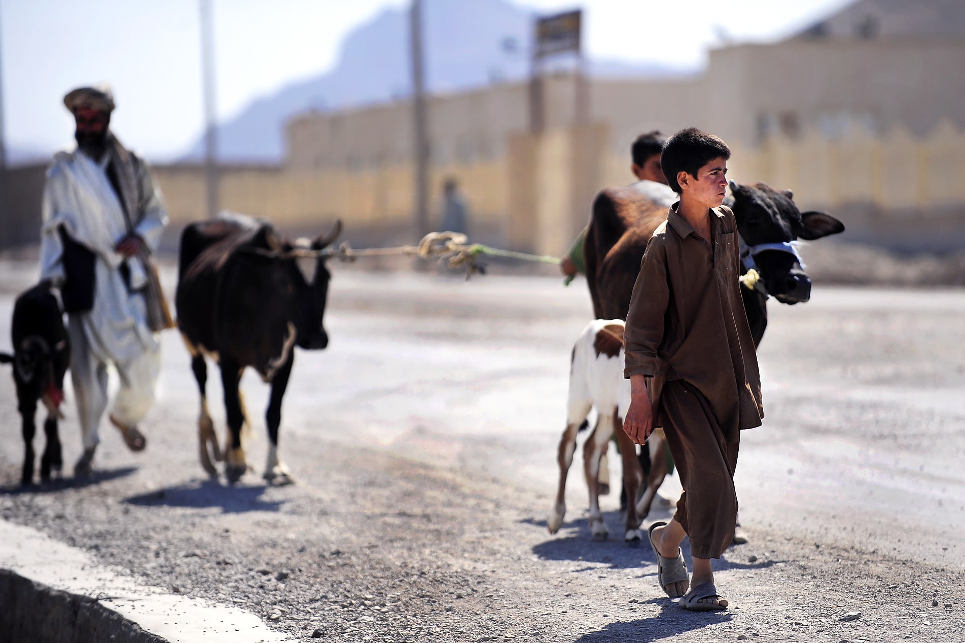 Farah, Afghanistan