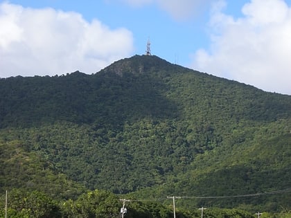 Boggy Peak