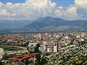 szkodra