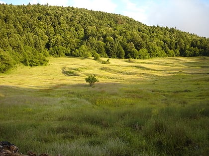 Park Narodowy Bredhi i Hotovës