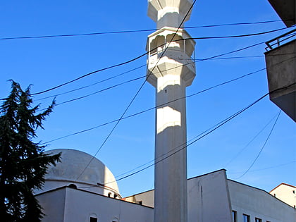 Mosque in the Center of the town