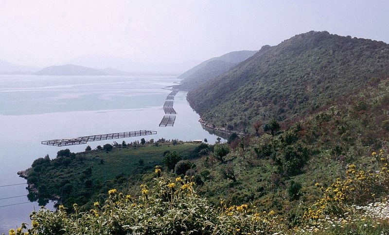 Lake Butrint