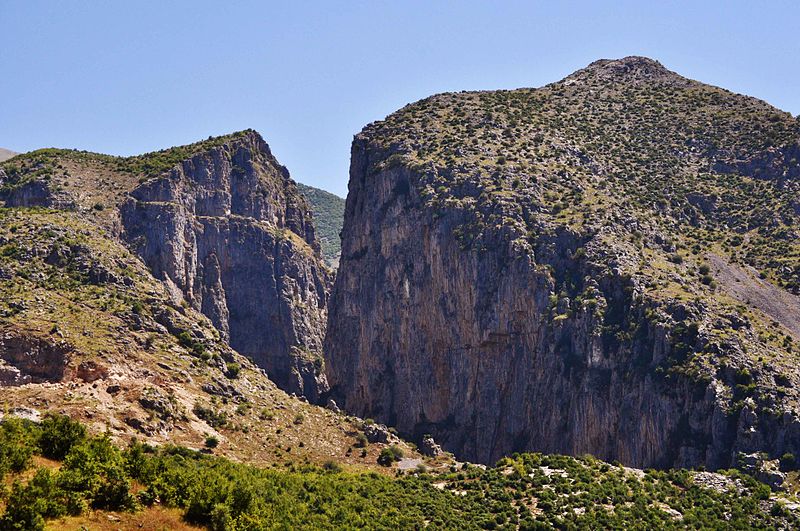 Çorovodë