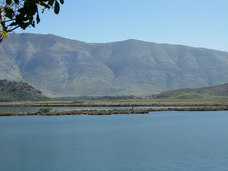 Lago Butrinto