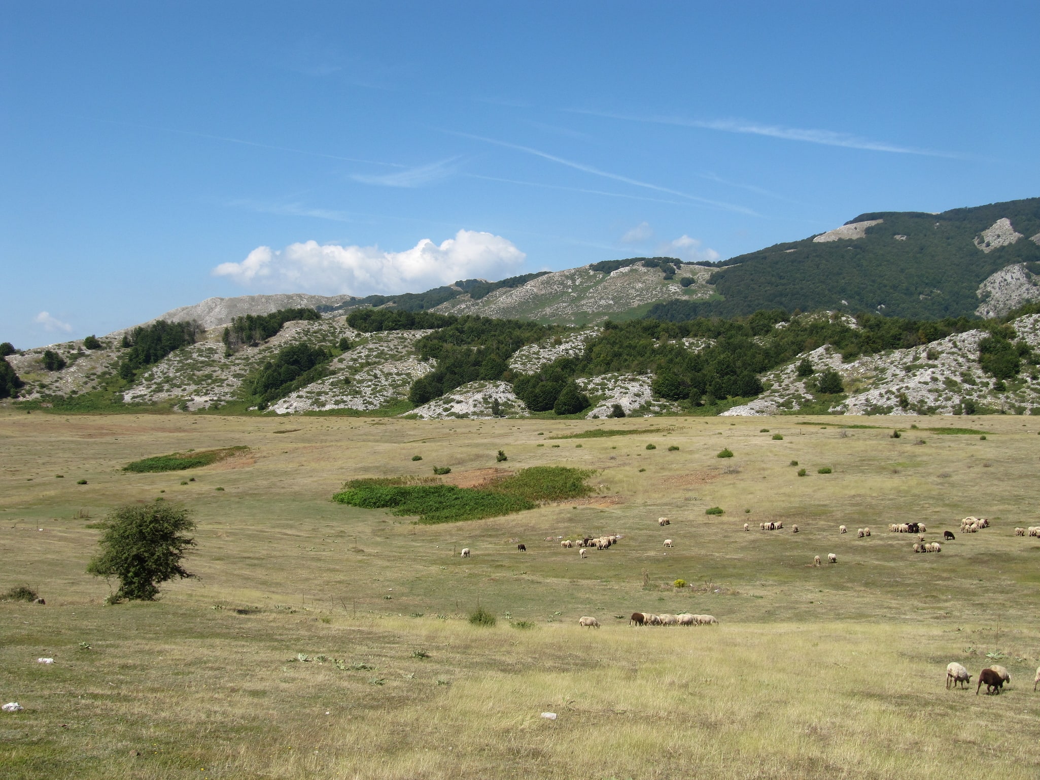 Parc national Shebenik-Jabllanice, Albanie