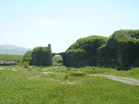 Lori Fortress