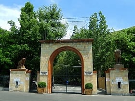 zoo derevan
