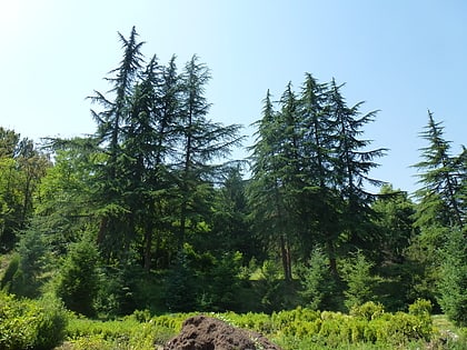 Ijevan Dendropark