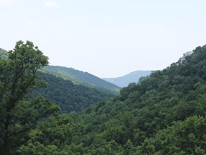 Arzakan-Meghradzor Sanctuary