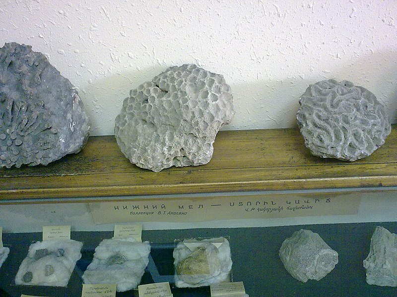 Geological Museum after H. Karapetyan