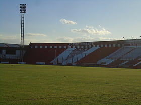 Estadio Eduardo Gallardón