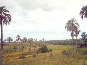 nationalpark el palmar