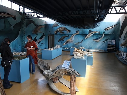 Museo Acatushún