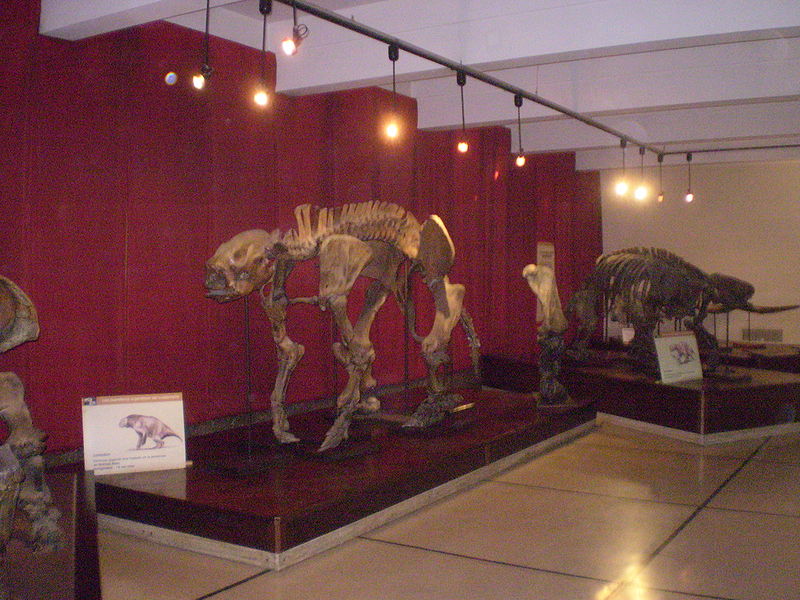 Musée argentin des sciences naturelles