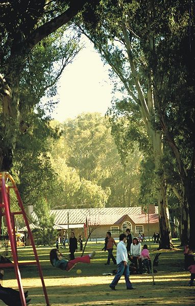 Parque Municipal Intendente Borchex
