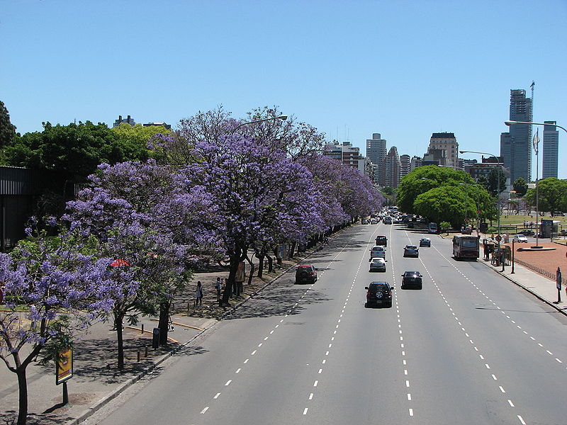 Avenida Figueroa Alcorta