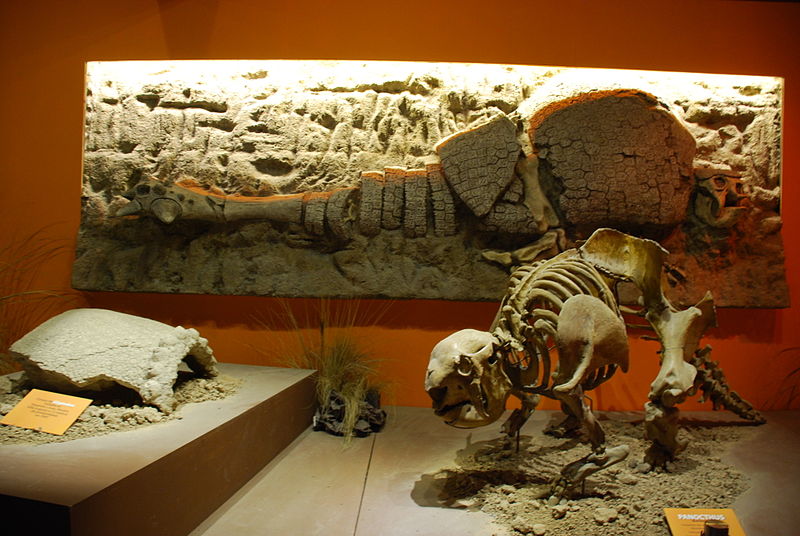 Museo Argentino de Ciencias Naturales