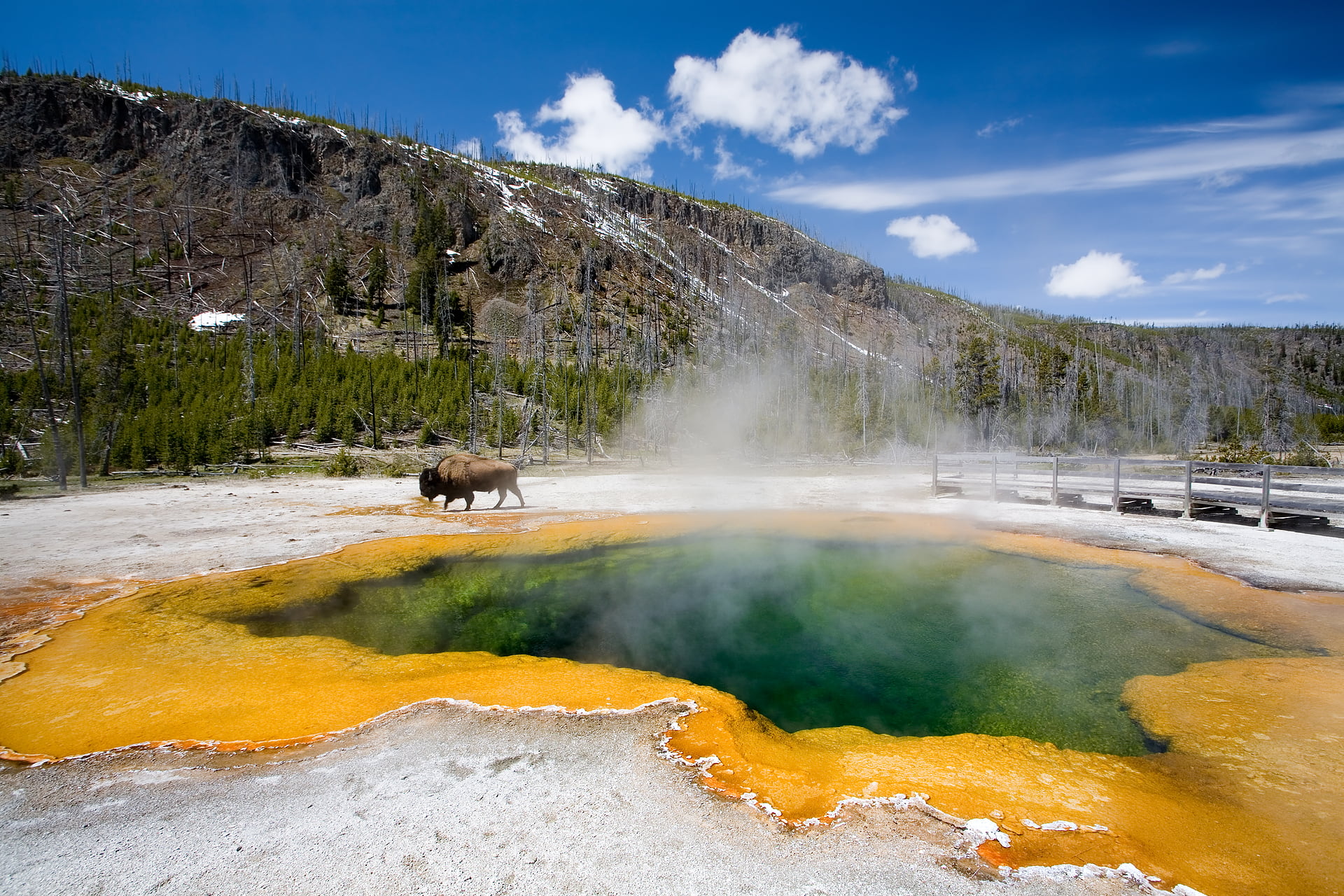 Visitando Yellowstone El Primer Parque Nacional De Estados Unidos Trek Zone