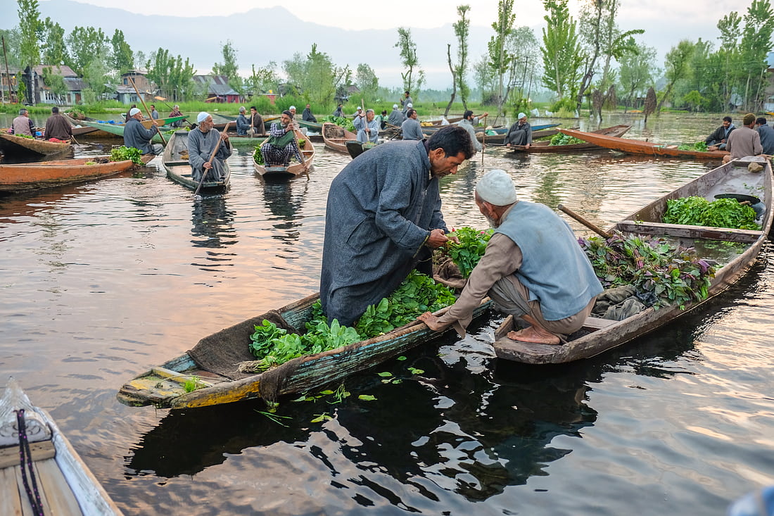 Marché de légumes flottant sur le lac Dal, Inde