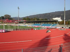 immoagentur stadion bregenz
