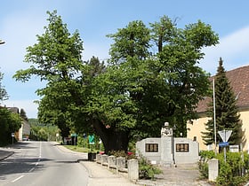 Mauerbach