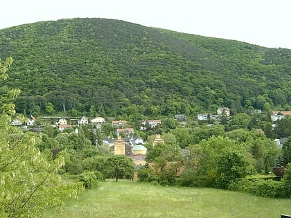 hinterbruhl