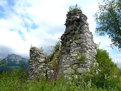 ruine pflindsberg