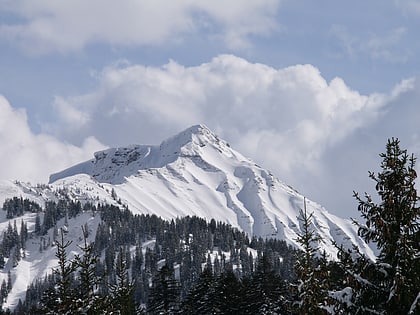 hoher freschen