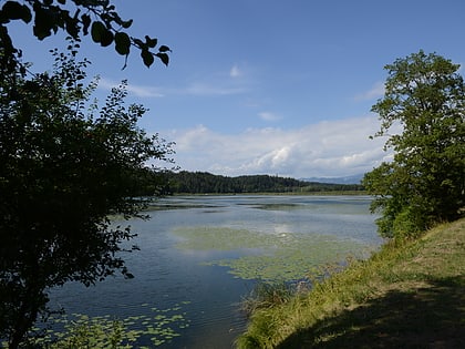 Gösselsdorfer See