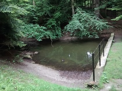 small pond innsbruck