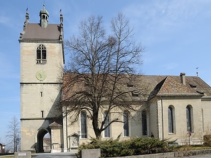 parish church of st gallus bregence