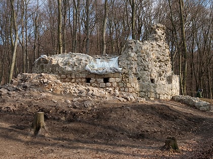 ruina del castillo de ried am riederberg