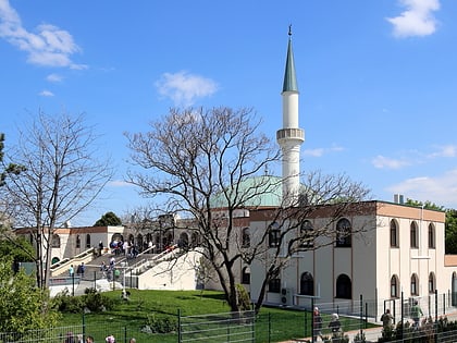 meczet wieden