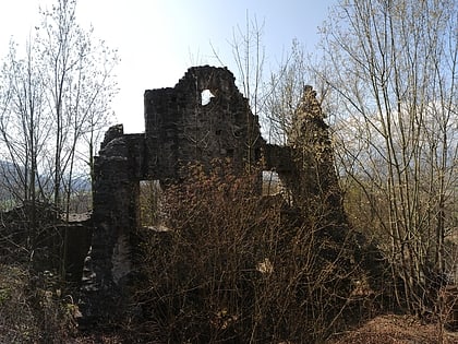 ruine neuburg