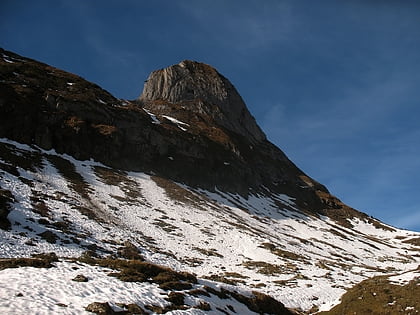 torkopf kleinwalsertal