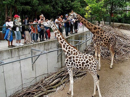 zoo schmiding