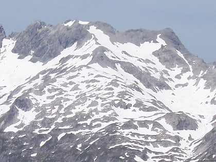Steinschartenkopf
