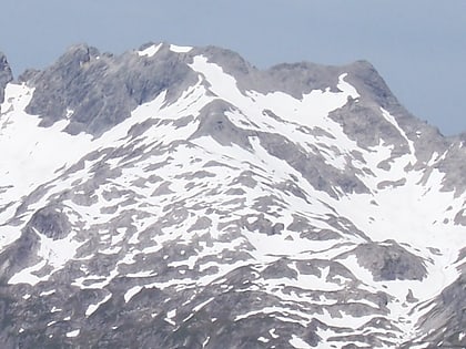 steinschartenkopf