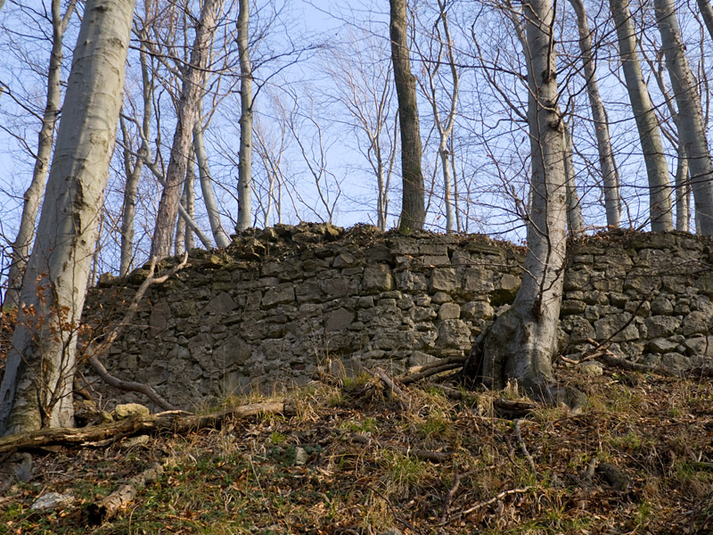 Ruina del castillo de Ried am Riederberg
