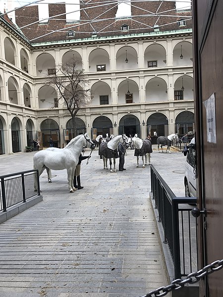 École espagnole d'équitation