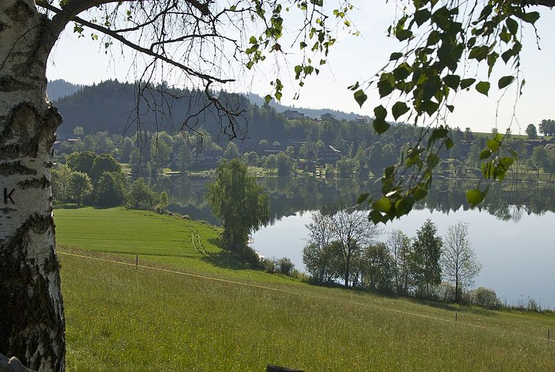 Maltschacher See