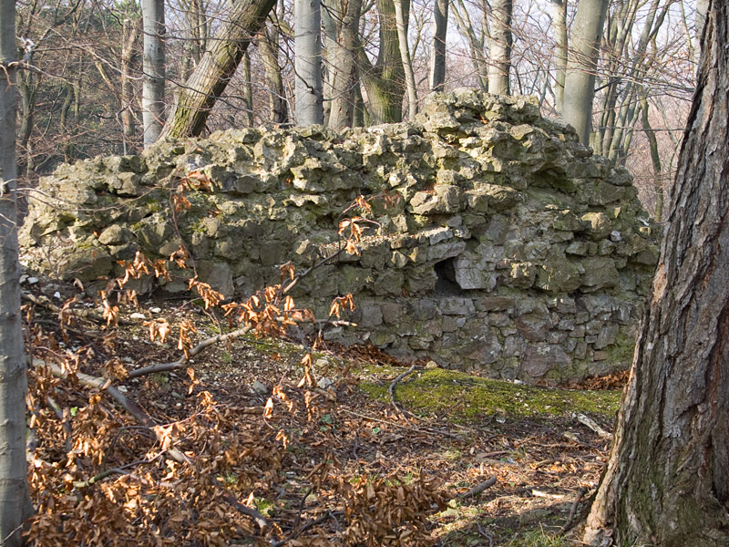 Ruina del castillo de Ried am Riederberg