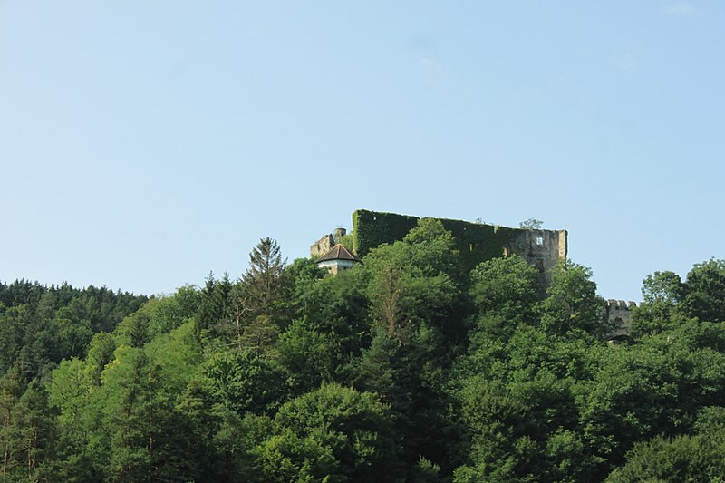 Burgruine Mollenburg