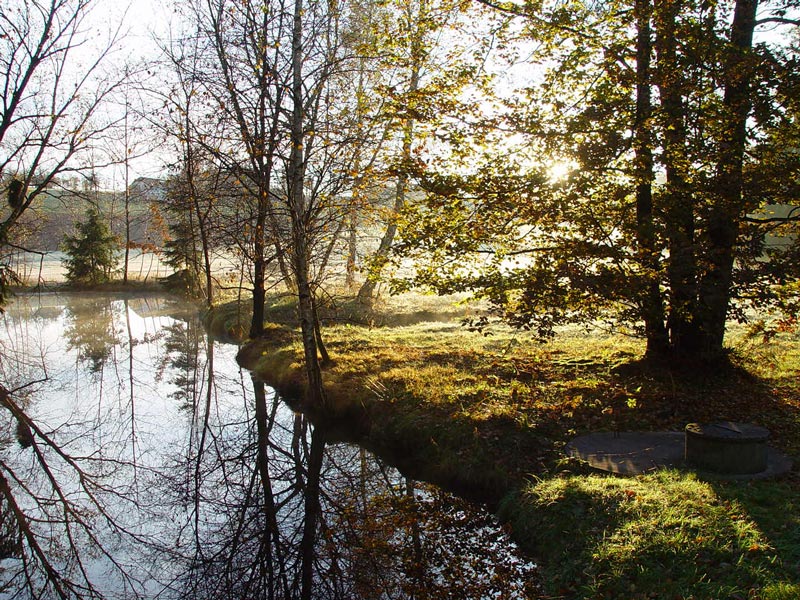 Gmöser Moor