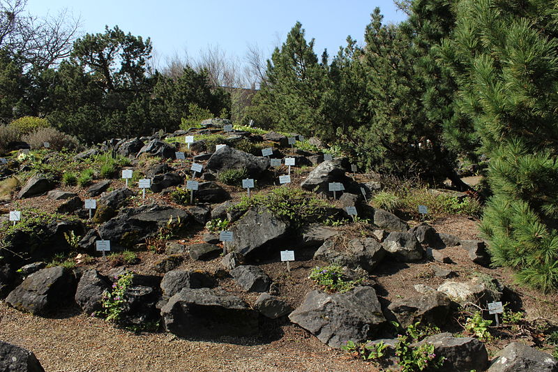 Jardín botánico de la Universidad de Viena