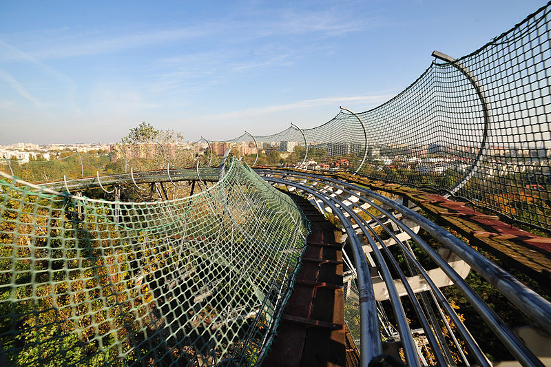 Luge sur rail